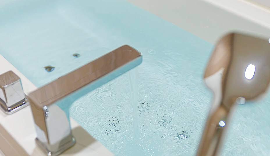 Pool Float